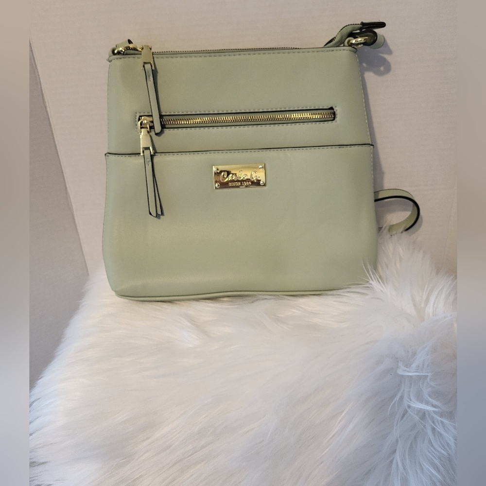 Carlo G Light Green Crossbody Bag with Gold Accents